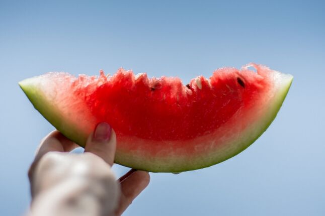 skive vandmelon